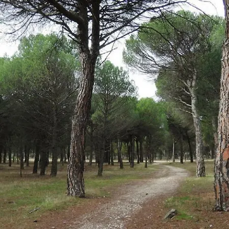 La Fresneda *